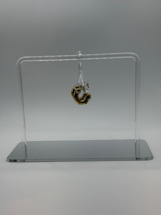 Diana Hoops